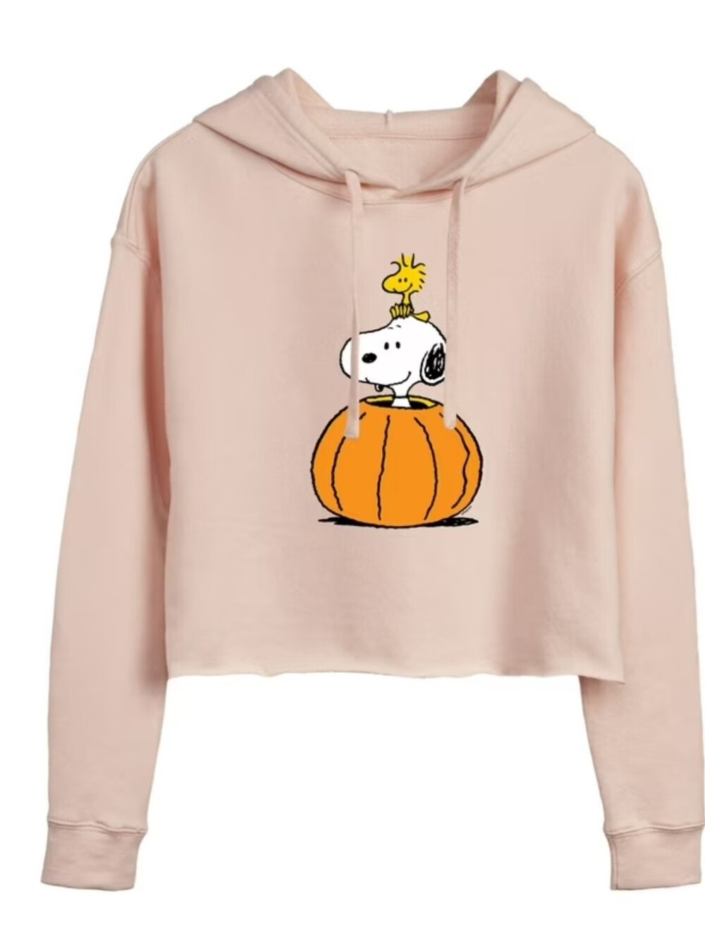 Lane Seven Peanuts - Snoopy Woodstock Pumpkin Cropped Graphic Hoodie SIZE M